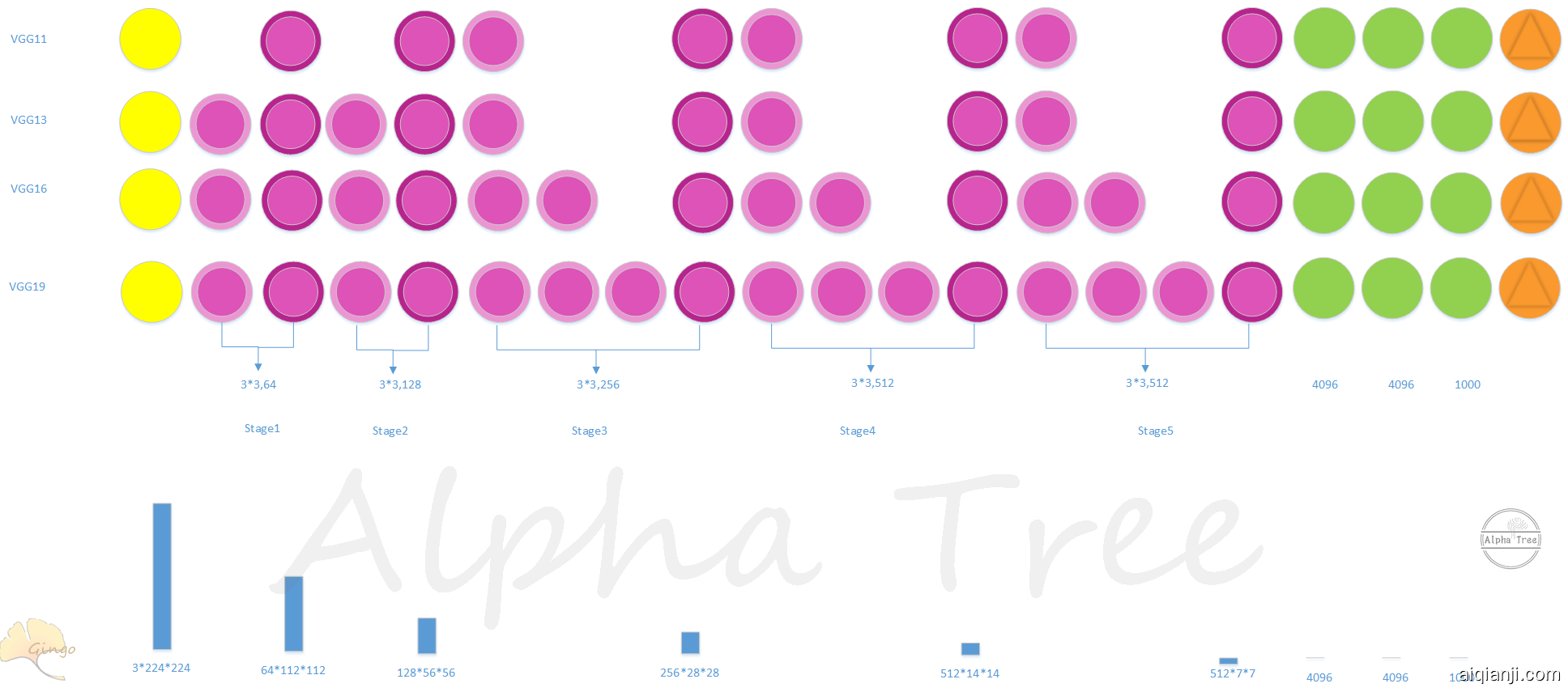 vgg.png