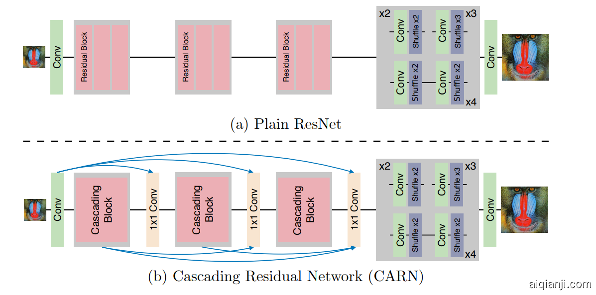 图2:纯ResNet的网络架构(上图)和建议的CARN(下图)